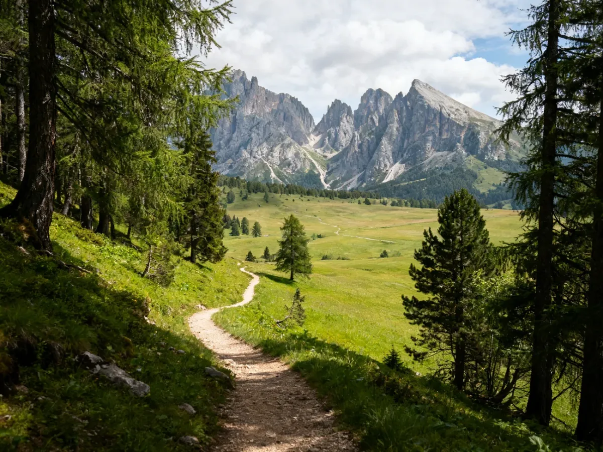 Rusinowa Polana surrounded by forest and Tatra Mountain peaks